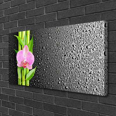 Canvas Kunstdruck Bambusrohre Blume Pflanzen