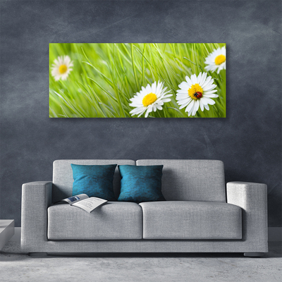 Canvas Kunstdruck Gras Gänseblümchen Natur