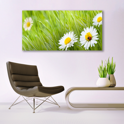 Canvas Kunstdruck Gras Gänseblümchen Natur