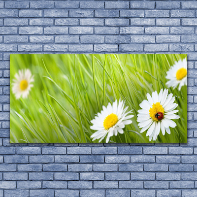 Canvas Kunstdruck Gras Gänseblümchen Natur