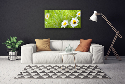 Canvas Kunstdruck Gras Gänseblümchen Natur