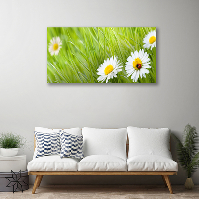 Canvas Kunstdruck Gras Gänseblümchen Natur