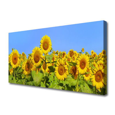 Canvas Kunstdruck Sonnenblumen Pflanzen