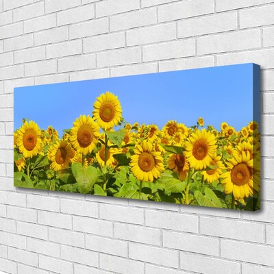 Canvas Kunstdruck Sonnenblumen Pflanzen