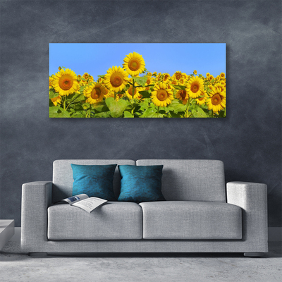 Canvas Kunstdruck Sonnenblumen Pflanzen