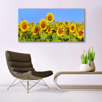 Canvas Kunstdruck Sonnenblumen Pflanzen