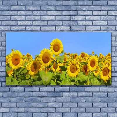 Canvas Kunstdruck Sonnenblumen Pflanzen