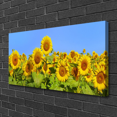 Canvas Kunstdruck Sonnenblumen Pflanzen