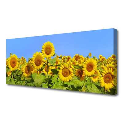 Canvas Kunstdruck Sonnenblumen Pflanzen