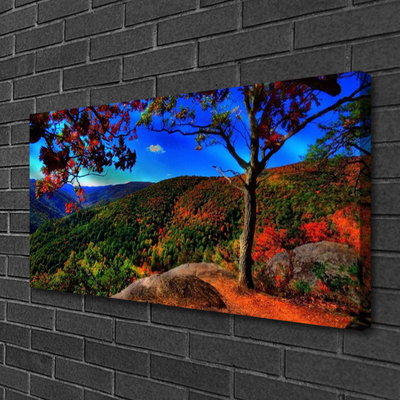 Canvas Kunstdruck Gebirge Wald Natur