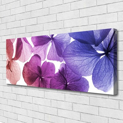 Canvas Kunstdruck Blumen Pflanzen