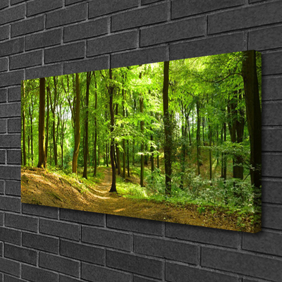 Canvas Kunstdruck Wald Natur