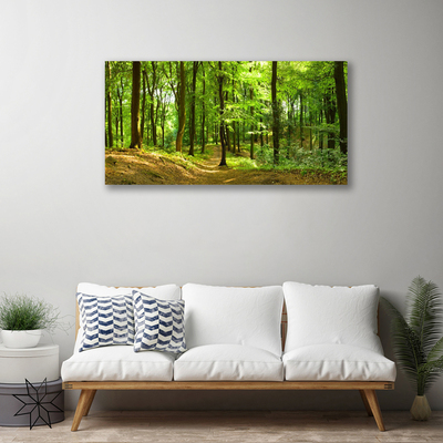 Canvas Kunstdruck Wald Natur