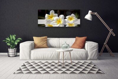 Canvas Kunstdruck Blumen Pflanzen