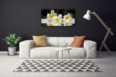 Canvas Kunstdruck Blumen Pflanzen