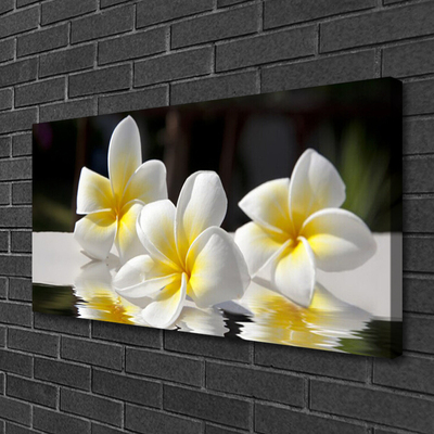 Canvas Kunstdruck Blumen Pflanzen