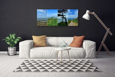 Canvas Kunstdruck Strand Baum Fußpfad Landschaft