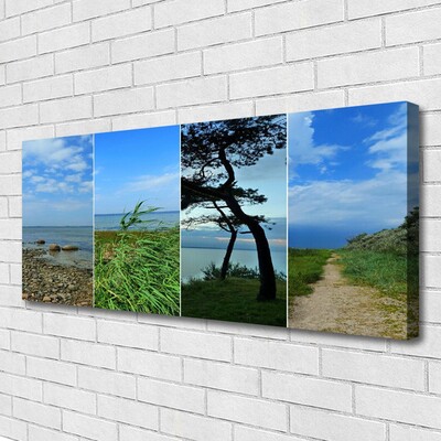 Canvas Kunstdruck Strand Baum Fußpfad Landschaft