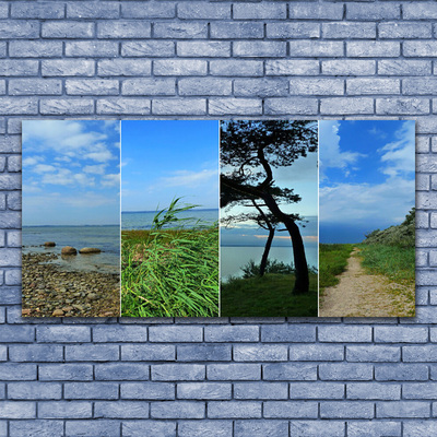 Canvas Kunstdruck Strand Baum Fußpfad Landschaft