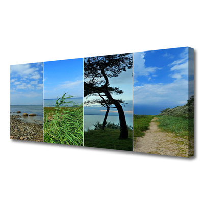 Canvas Kunstdruck Strand Baum Fußpfad Landschaft