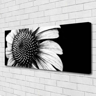 Canvas Kunstdruck Blume Pflanzen