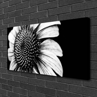 Canvas Kunstdruck Blume Pflanzen