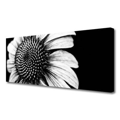 Canvas Kunstdruck Blume Pflanzen