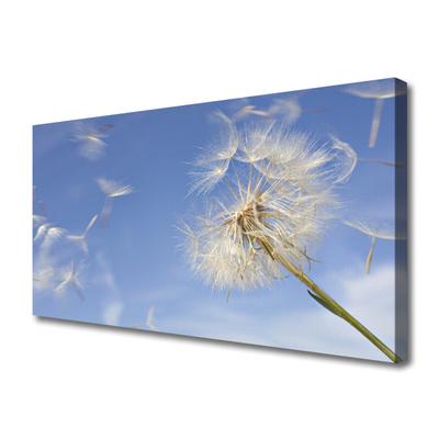 Canvas Kunstdruck Pusteblume Pflanzen