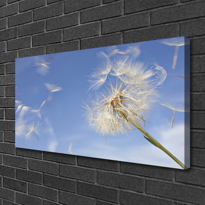 Canvas Kunstdruck Pusteblume Pflanzen