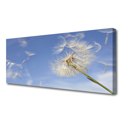 Canvas Kunstdruck Pusteblume Pflanzen