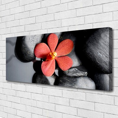 Canvas Kunstdruck Blume Steine Kunst