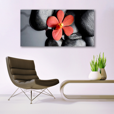 Canvas Kunstdruck Blume Steine Kunst