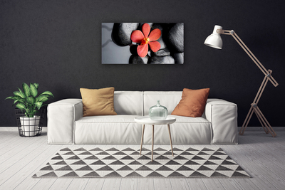 Canvas Kunstdruck Blume Steine Kunst