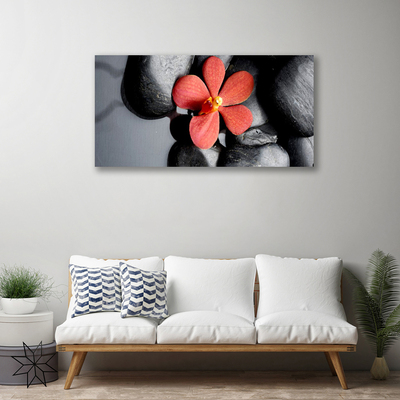 Canvas Kunstdruck Blume Steine Kunst