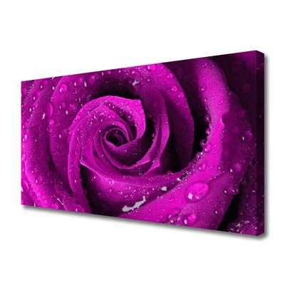 Canvas Kunstdruck Rose Pflanzen