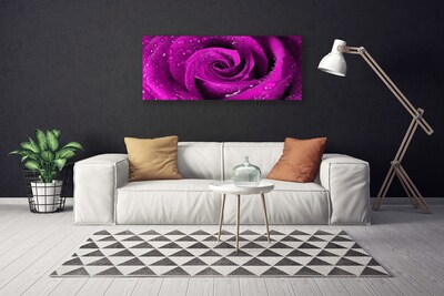 Canvas Kunstdruck Rose Pflanzen