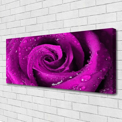 Canvas Kunstdruck Rose Pflanzen