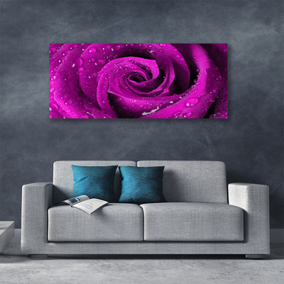 Canvas Kunstdruck Rose Pflanzen