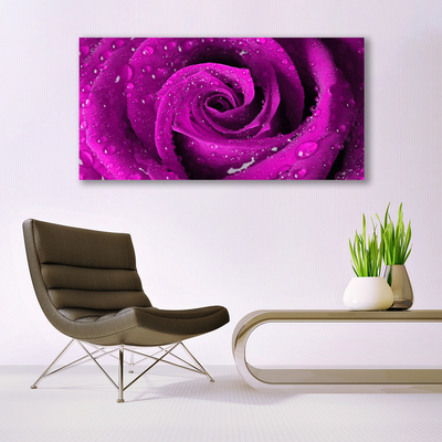 Canvas Kunstdruck Rose Pflanzen