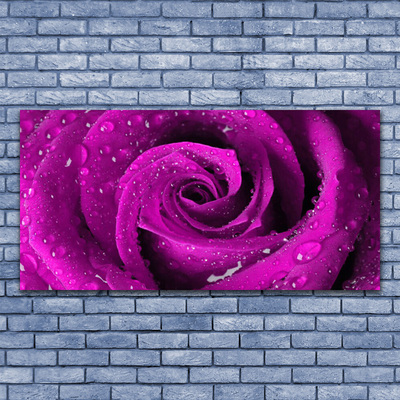 Canvas Kunstdruck Rose Pflanzen