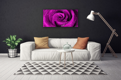 Canvas Kunstdruck Rose Pflanzen