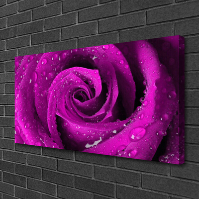 Canvas Kunstdruck Rose Pflanzen