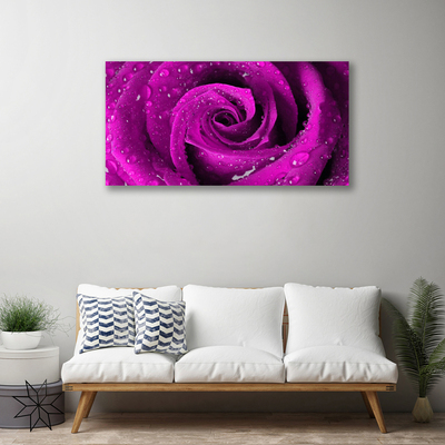 Canvas Kunstdruck Rose Pflanzen