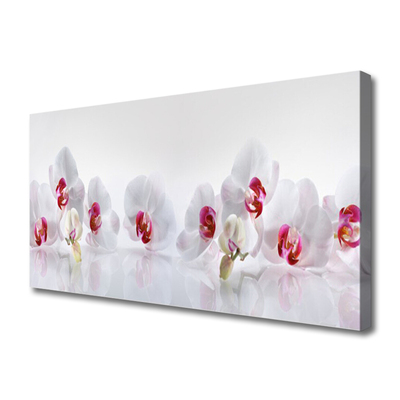 Canvas Kunstdruck Blumen Pflanzen