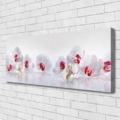 Canvas Kunstdruck Blumen Pflanzen