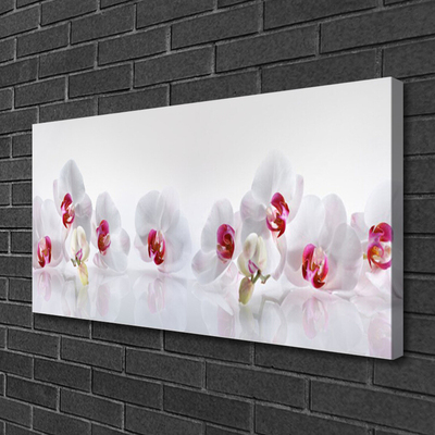 Canvas Kunstdruck Blumen Pflanzen