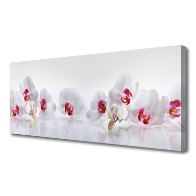 Canvas Kunstdruck Blumen Pflanzen