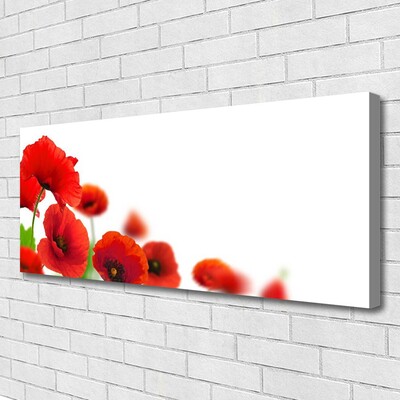 Canvas Kunstdruck Mohnblumen Pflanzen