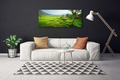 Canvas Kunstdruck Wiese Natur