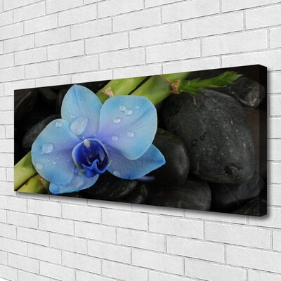 Canvas Kunstdruck Blume Steine Pflanzen